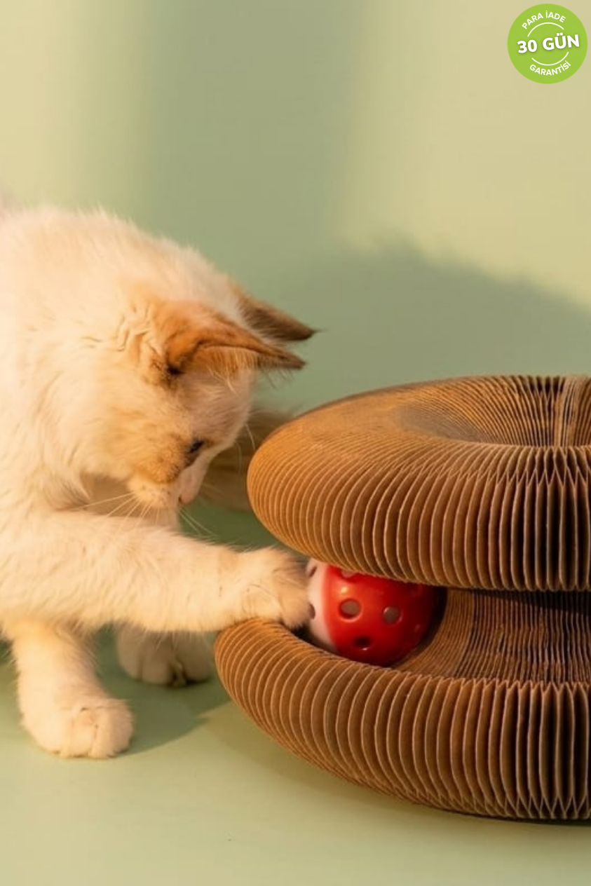Akordeon Tırmalamalı Toplu Kedi Oyuncak
