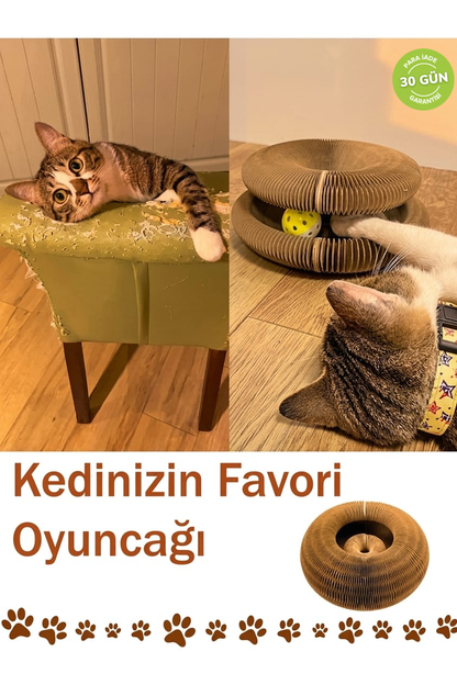 Akordeon Tırmalamalı Toplu Kedi Oyuncak