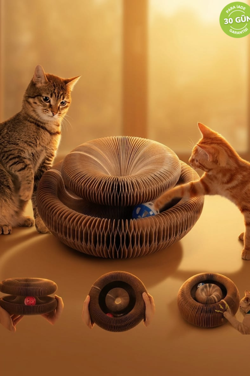Akordeon Tırmalamalı Toplu Kedi Oyuncak