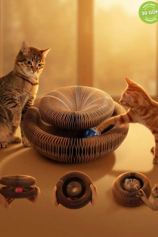 Akordeon Tırmalamalı Toplu Kedi Oyuncak