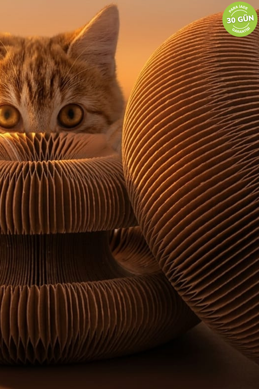 Akordeon Tırmalamalı Toplu Kedi Oyuncak
