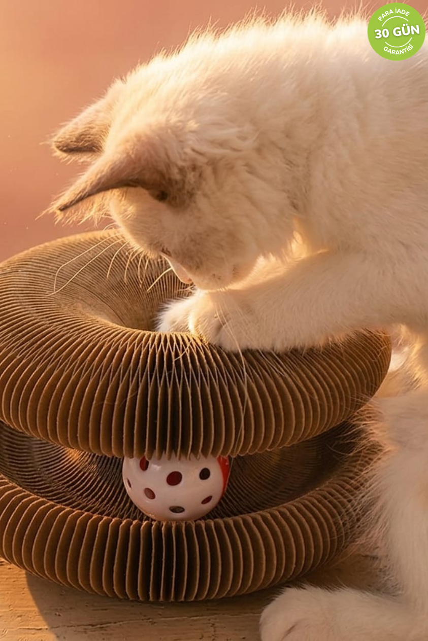 Akordeon Tırmalamalı Toplu Kedi Oyuncak